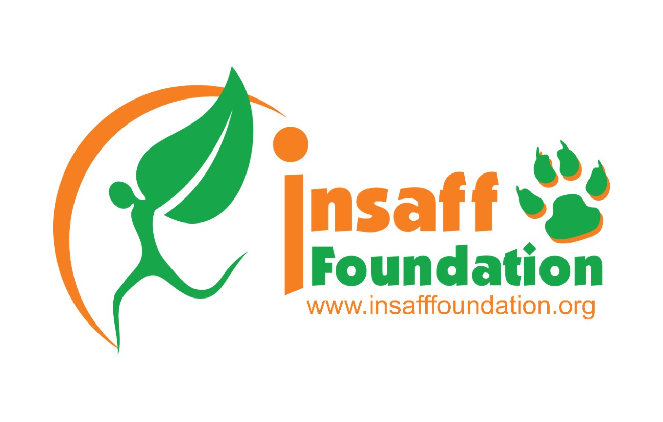 InsaffFoundation